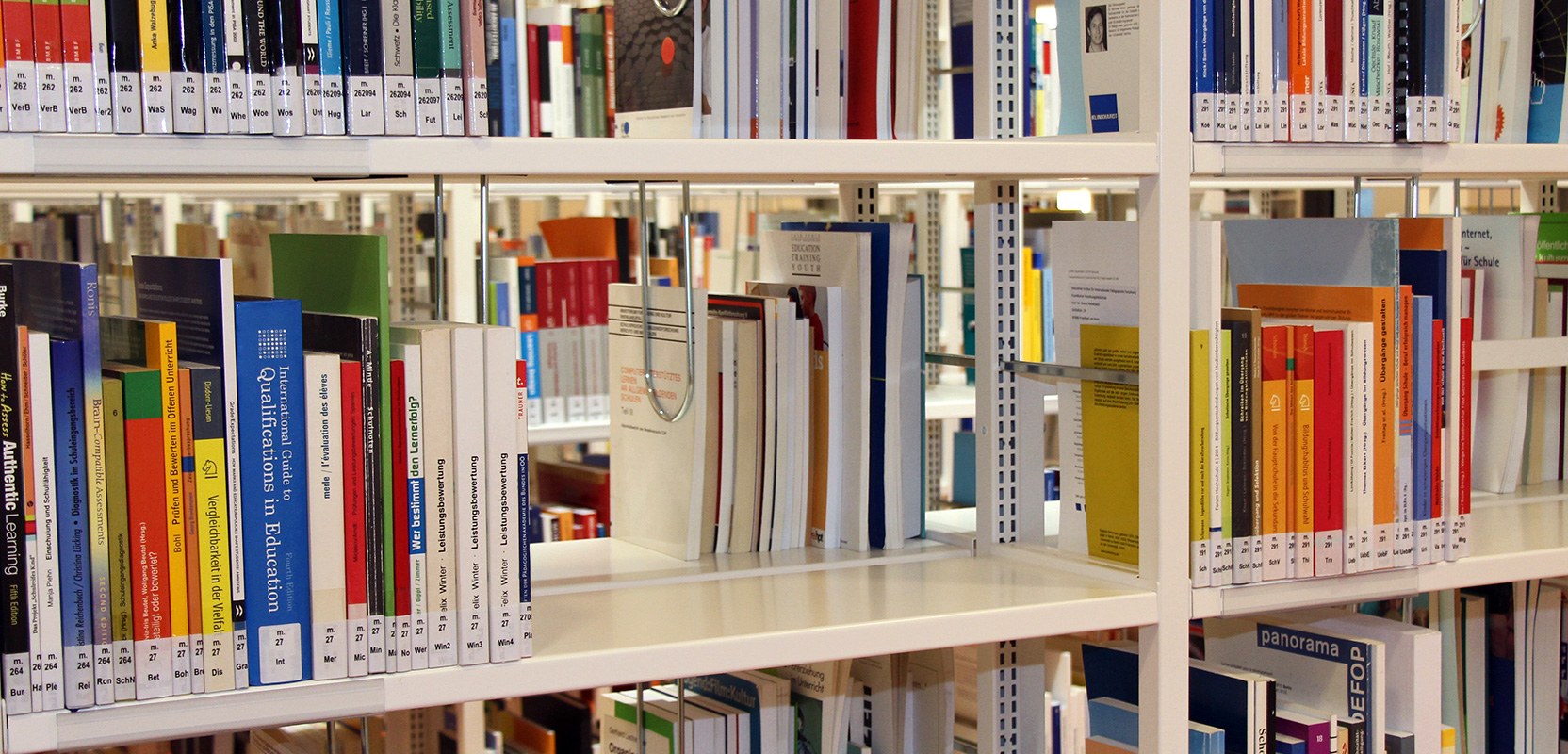 Schmuckbild: Bücherregal